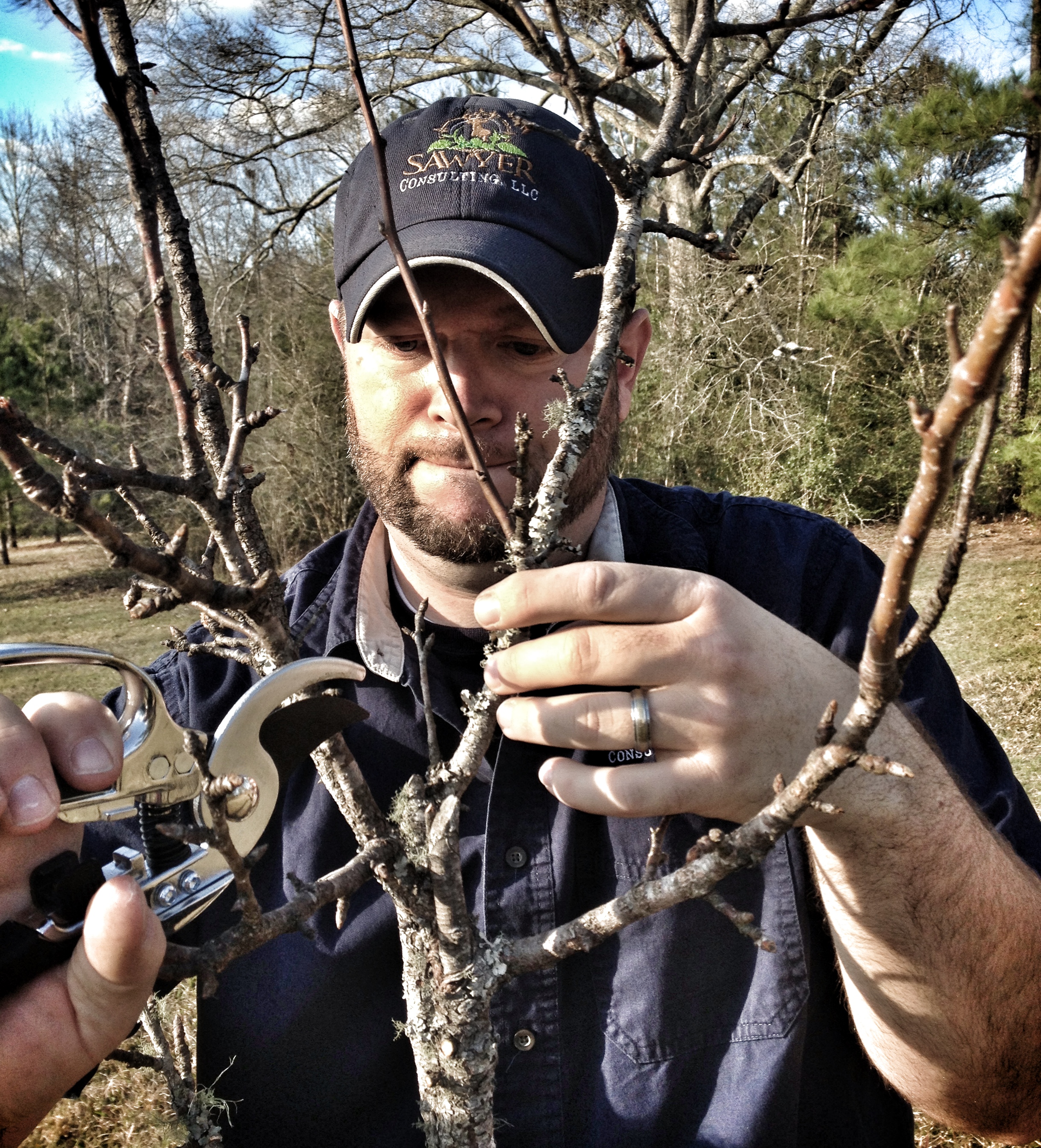 Brent Sawyer pruning fruit trees